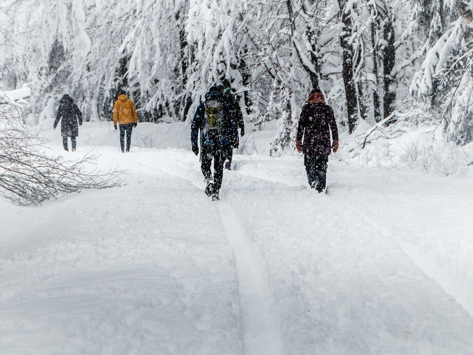 Erkunden Sie die Wanderrouten im Winter bei Schneefall.