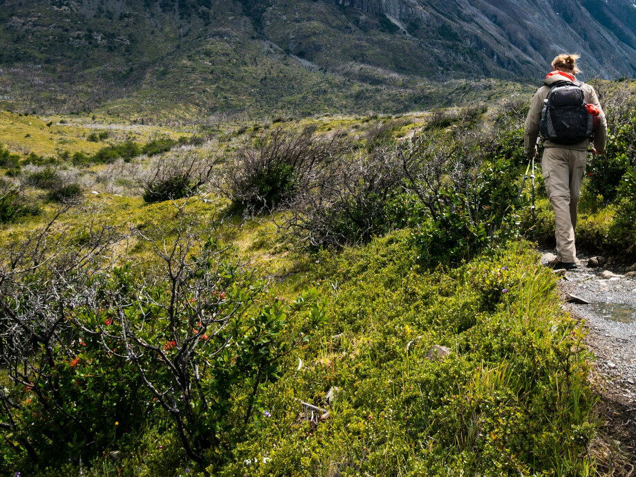 Wanderrouten über die Alpen und durch das Lechtal.