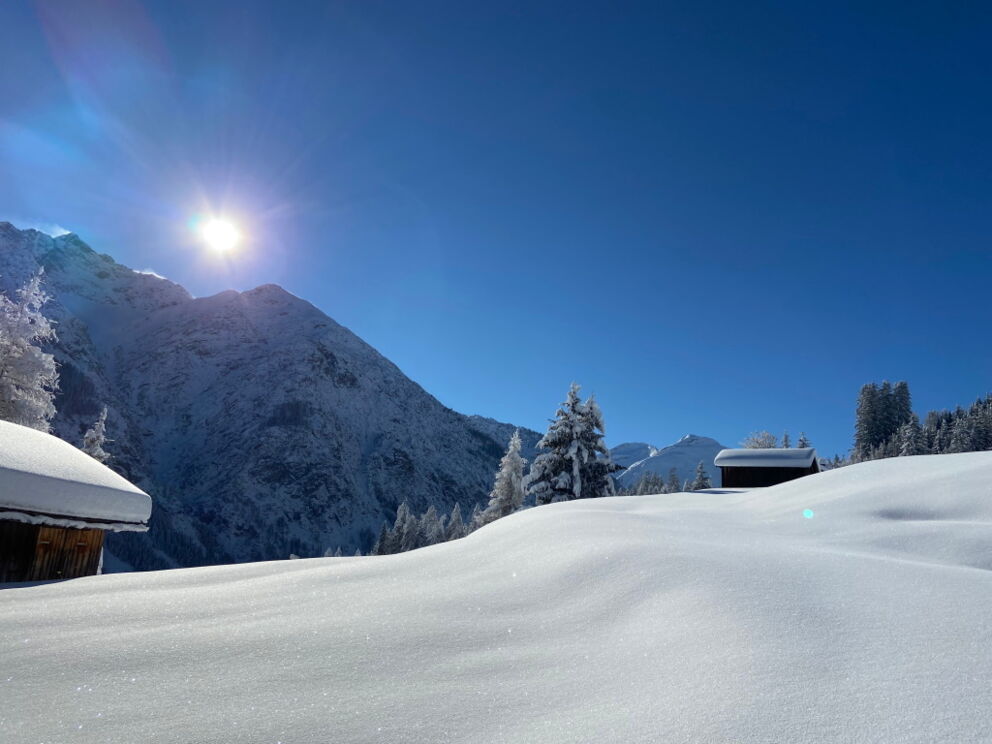 Eine zauberhafte Winterlandschaft am helllichten Tag mit den verschneiten Bergen im Hintergrund