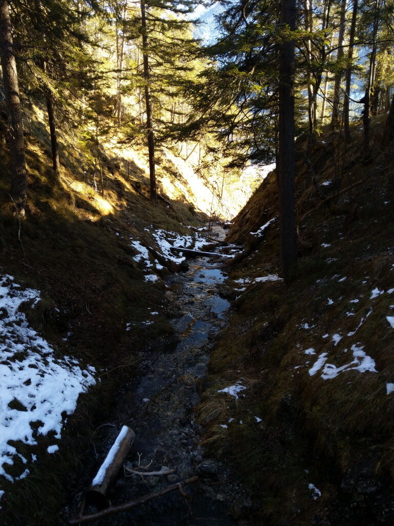Wandern entlang dem Forstweg zum Baichlstein mit Querung verschiedener Täler.