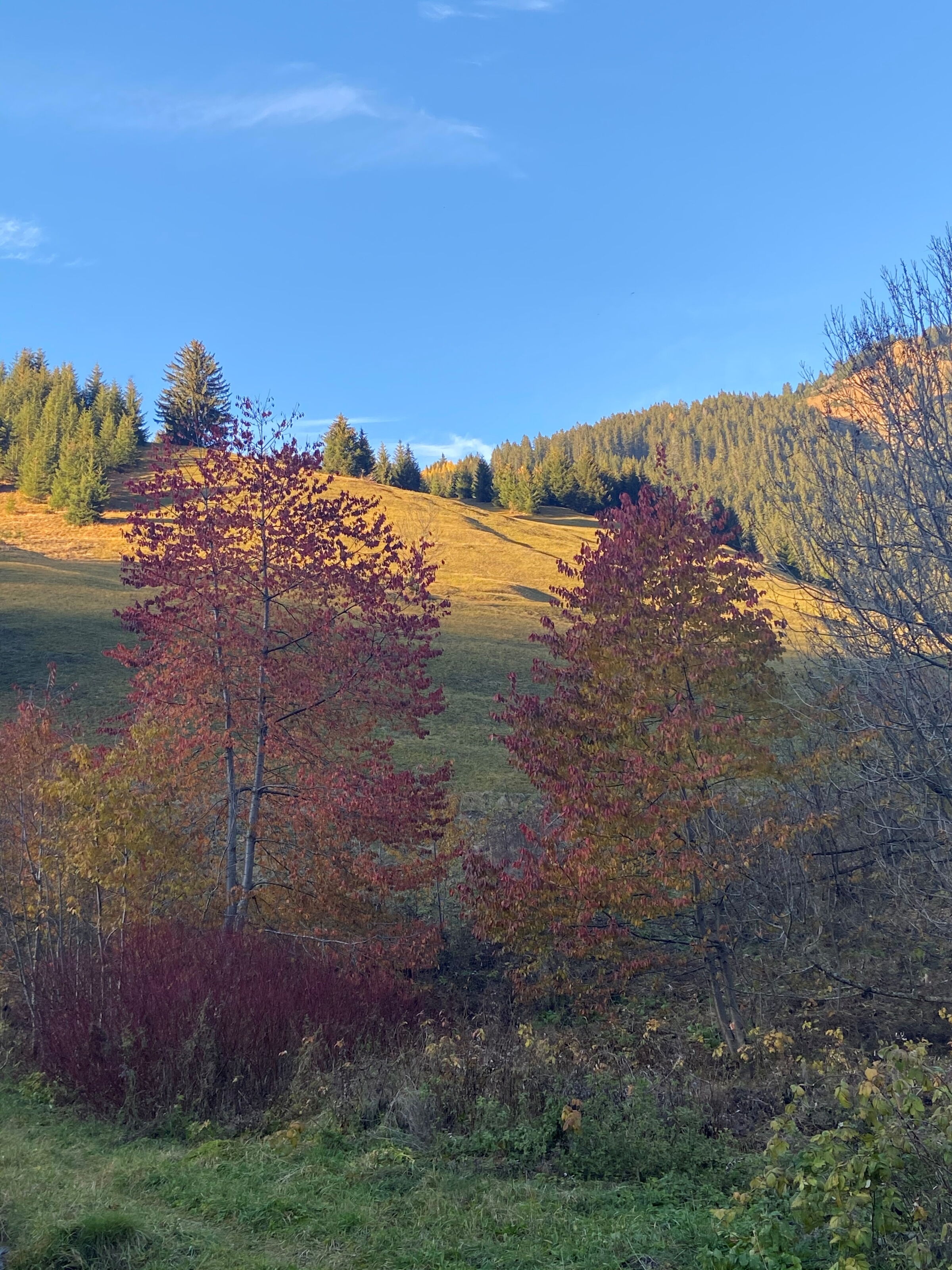 Wandern zum musikalischen Herbst im Tiroler Lechtal.