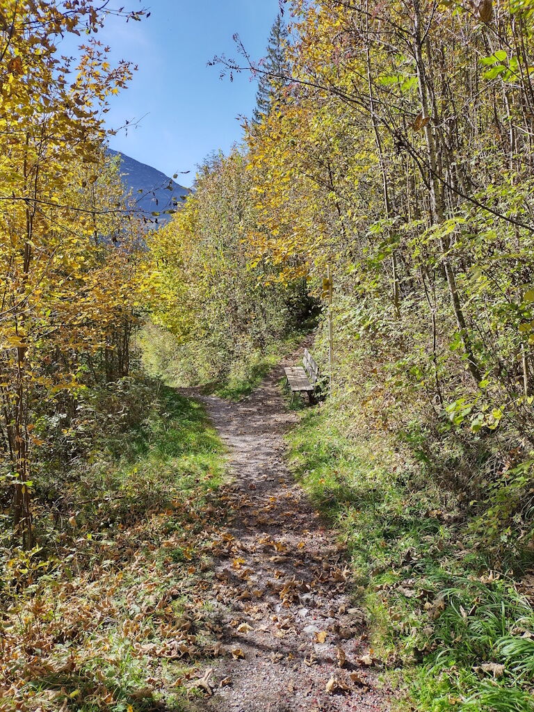 Wandern in Holzgau im goldenen Herbst durch schöne Blätterwälder in Ortsnähe.