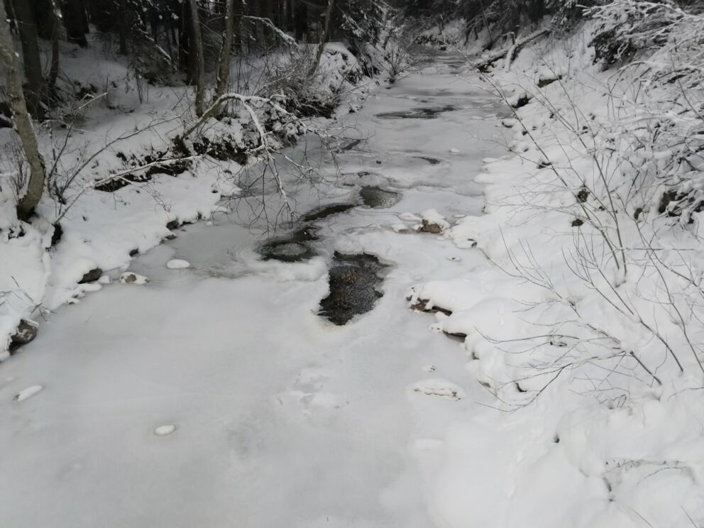 Winterwandervorschlag im Lechtal ist für Einsteiger immer der Höhenbach in Holzgau. Tourenvorschlag der Dorfstube.
