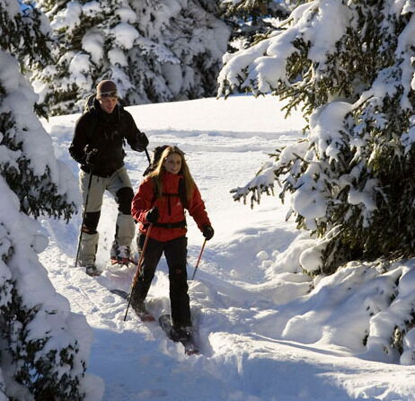 Die Natur mit den Schneeschuhen erkunden und wunderschöne Impressionen der Landschaft sammeln.