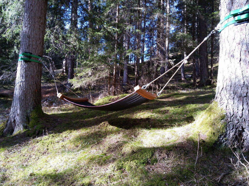 Baumkronenbeobachtung in der Hängematte im Wald-Spa in Holzgau.
