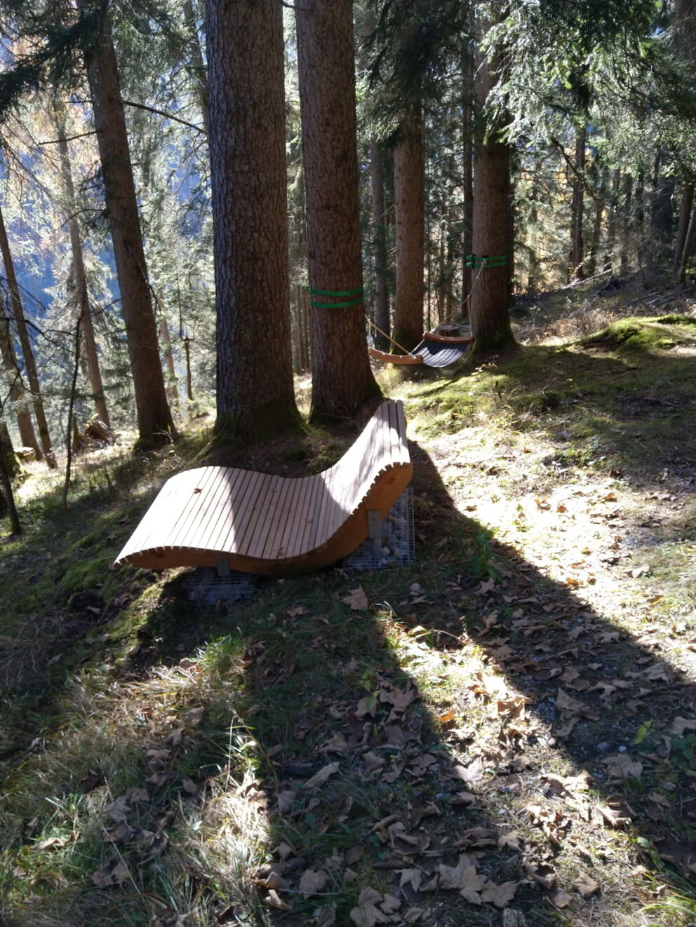 Ruhezone und Energietankstelle Wald beim Waldbaden in Holzgau.