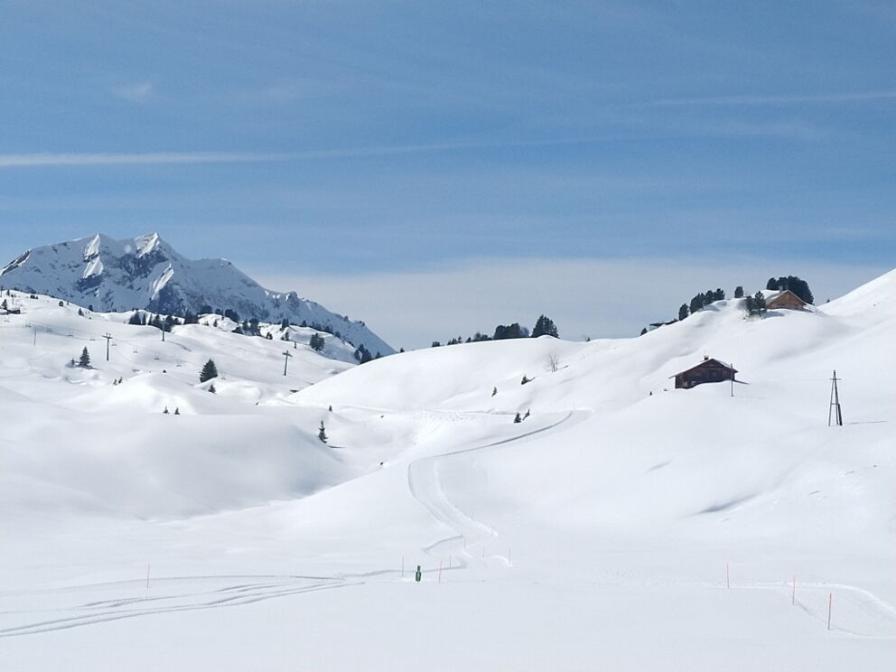 Winterwandertipp der Dorfstube, mit den Schneeschuhen von der Jägeralpe zum Simmel-Gipfelkreuz.