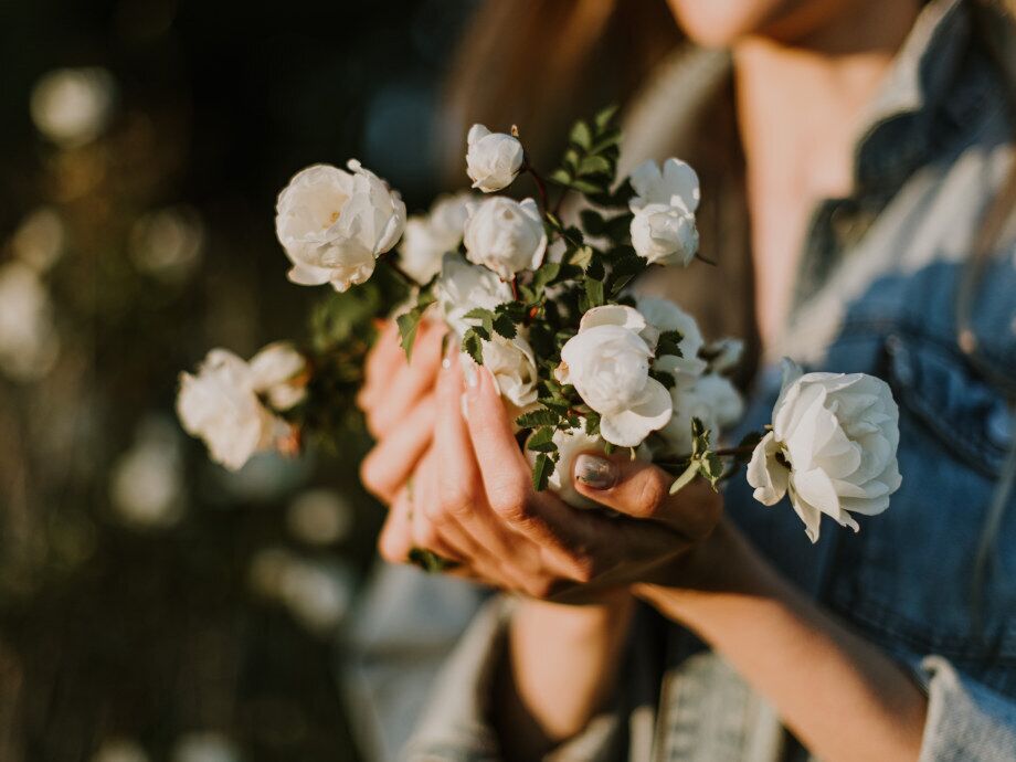 Weiße Blumen in den Händen einer Frau; © Anita Austvika auf Unsplash