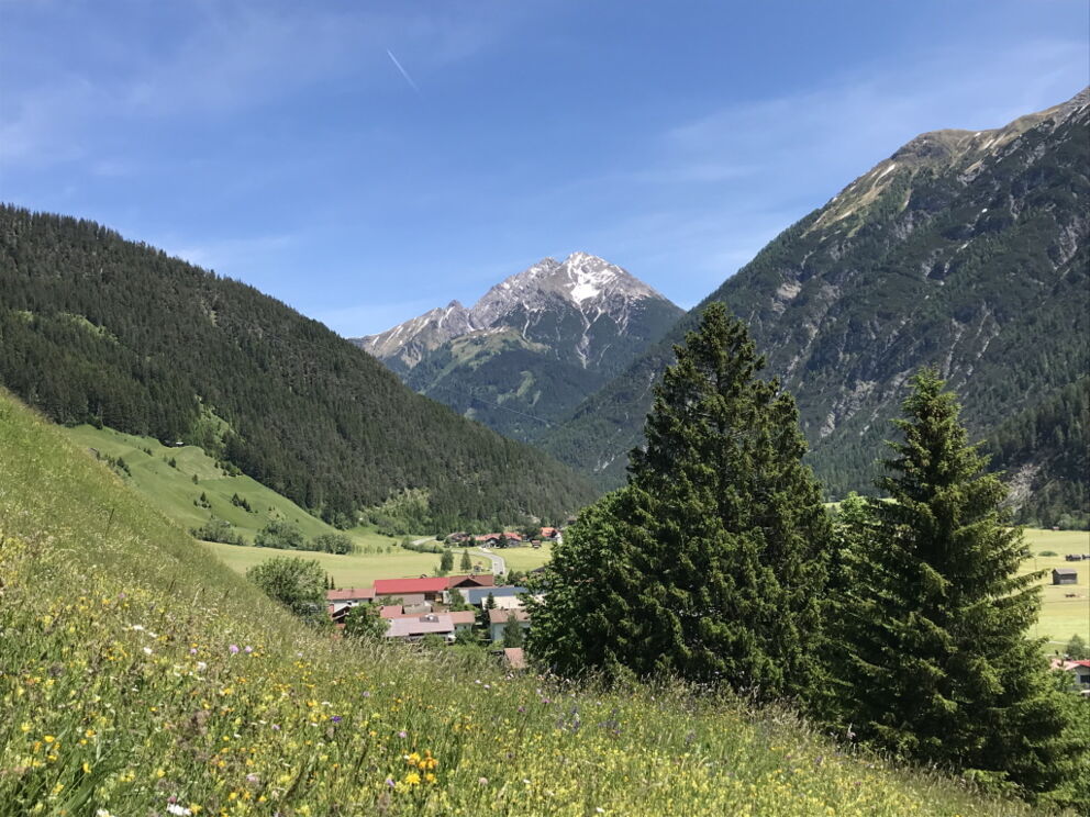 Wandern in Holzgau entlang den Kräuterwiesen nahe der Ortschaft.