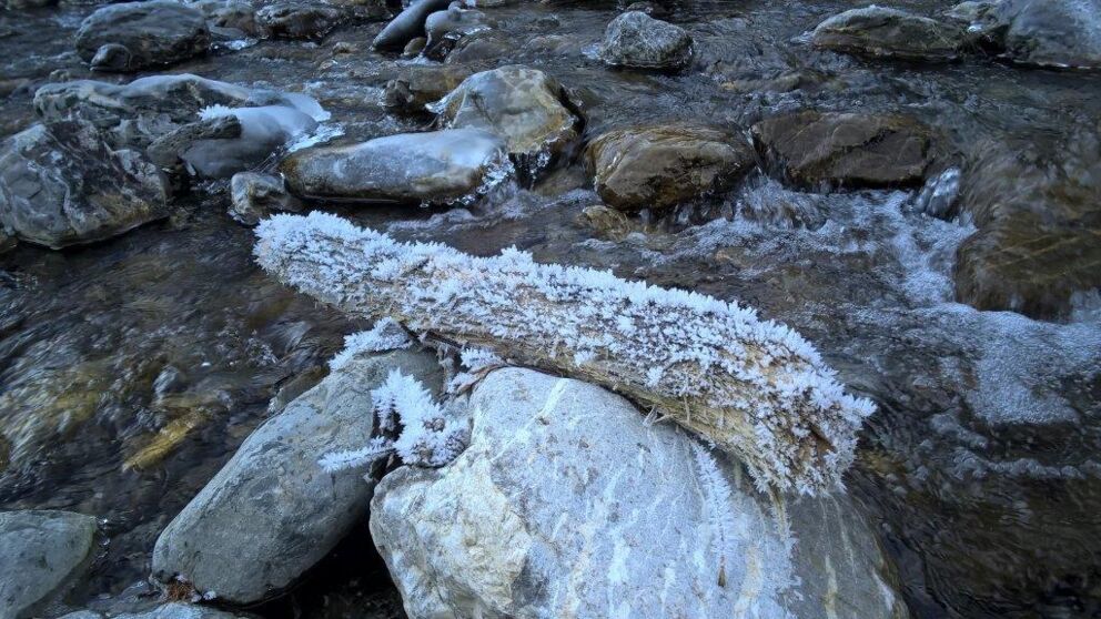 Das Holz ist befallen vom Raureif durch die Feuchtigkeit des Wassers und des kühlen windes.