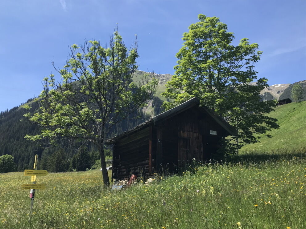 Wandern entlang dem Lechweg über die Kräuterwiesen zur Fußgängerhängebrücke.