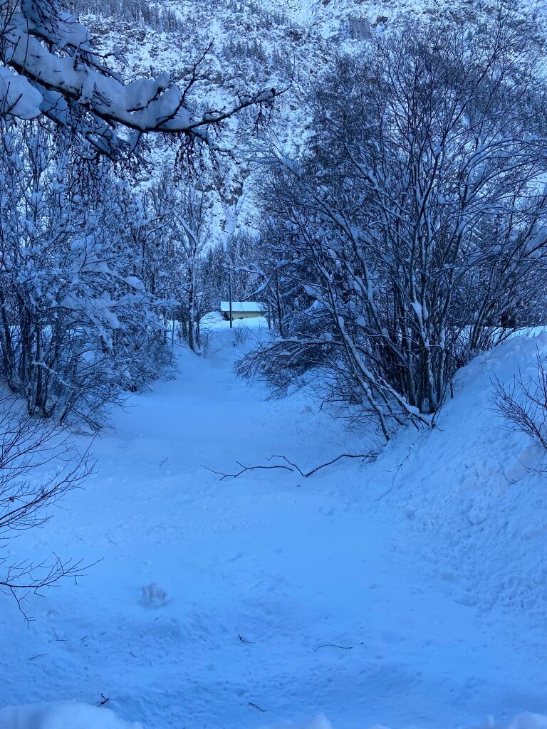 Fest verschneit ist der Höhenbach und nur ein leises Rauschen des Baches ist bei völliger Stille zu hören.