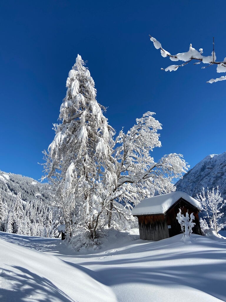 Von der Dorfstube aus wandern im Tiefschnee zur Hängebrücke.