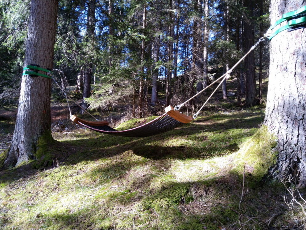 Baumkronenbeobachtung in der Hängematte im Wald-Spa in Holzgau.