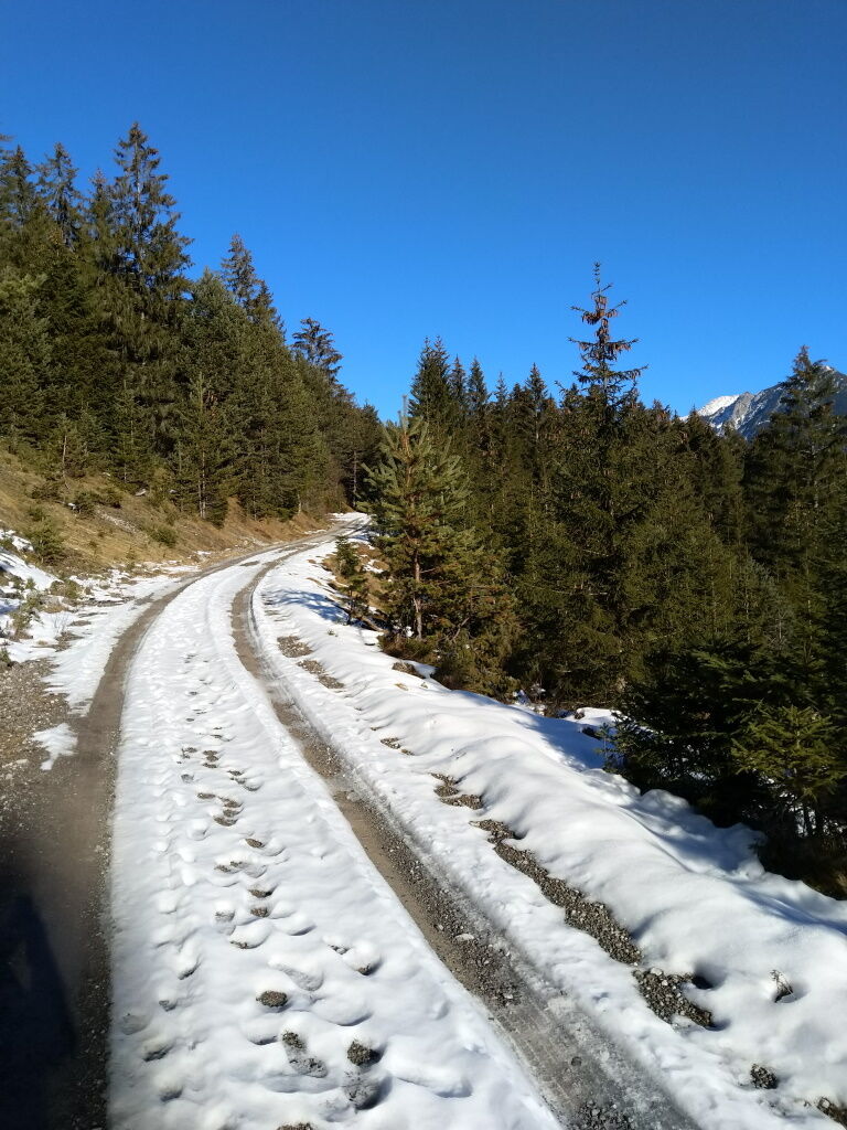 Vorwinterwanderung zum Baichlstein auf der teilweise verschneiten Forststraße.