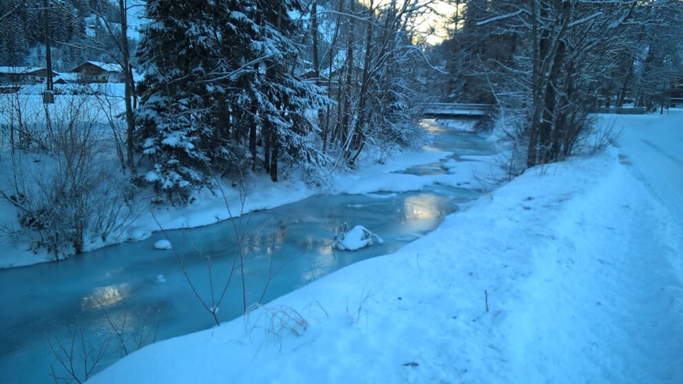 Wandern rund um den Höhenbach bei eisigen Temperaturen.