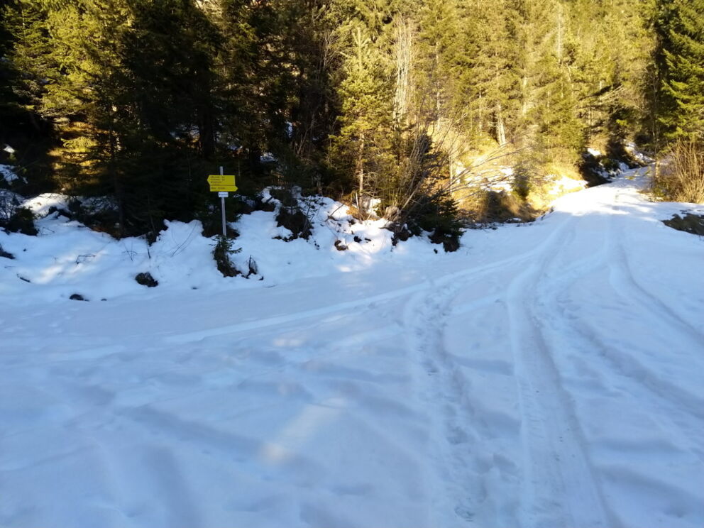 Vorwinterwanderung auf den Baichlstein.