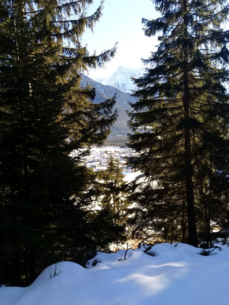 Blickdicht liegt der Forstweg zum Baichlstein, jedoch kommen immer wieder kleinere und größere Lücken auf die man auf das schöne Vorderhornbach blicken kann.