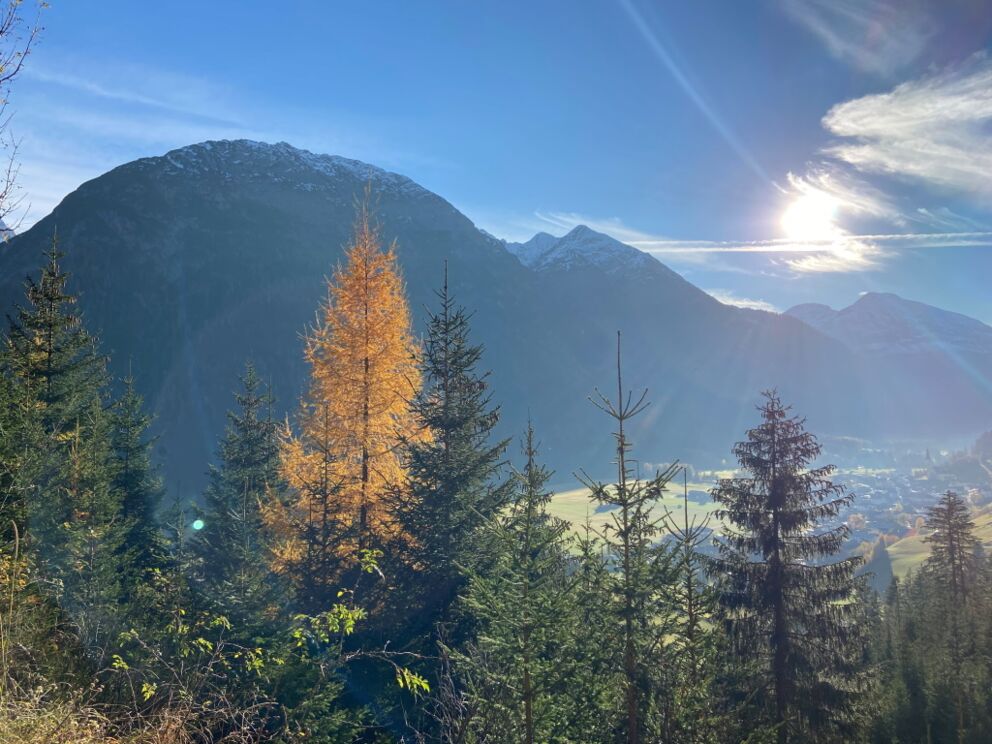 Höhenweg Steeg-Holzgau im schönen Lechtal an den Herbstwandertagen.