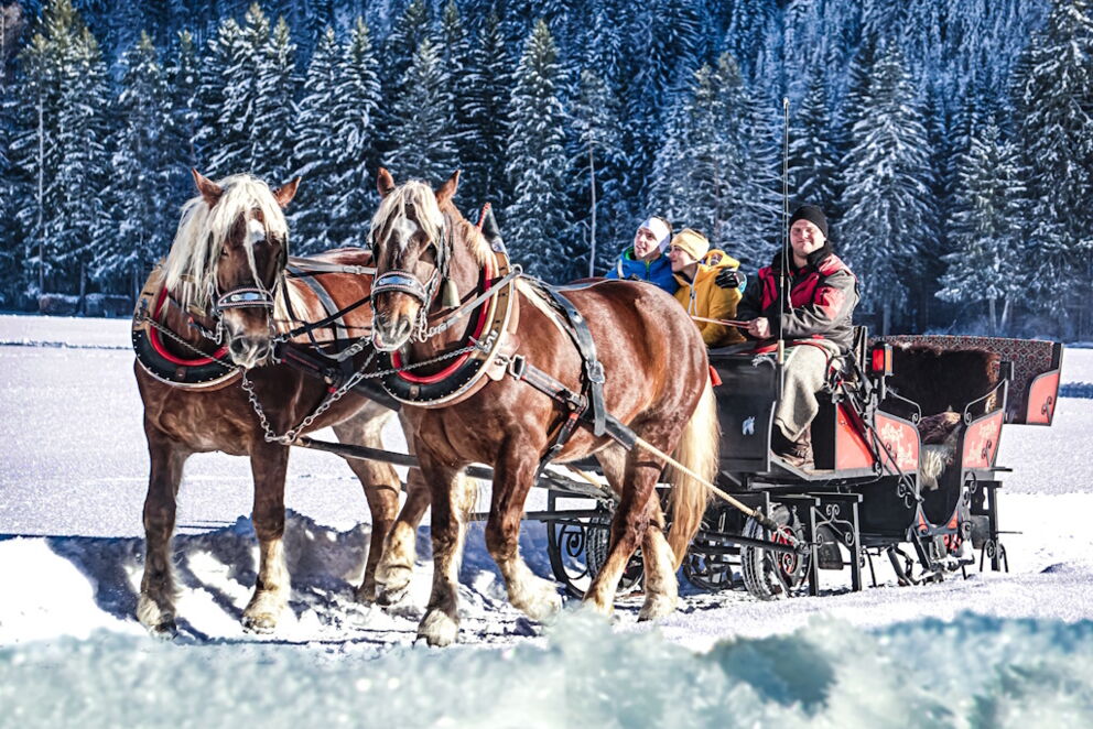 Kutschenfahrten mit Charme im Naturpark-Lechtal mit Florian