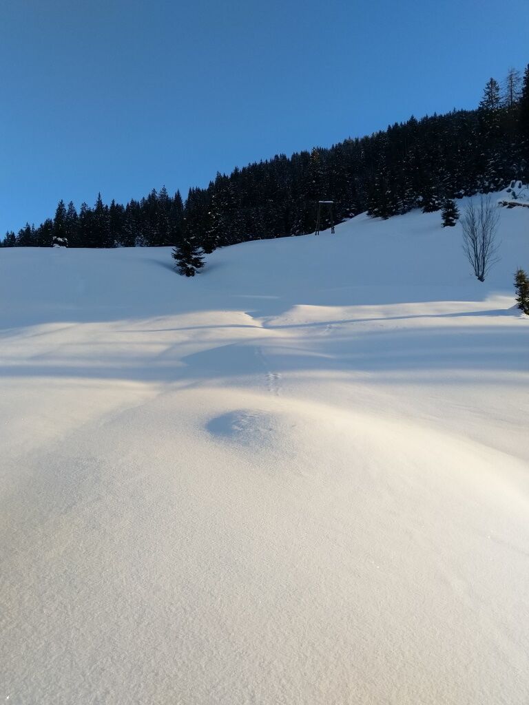 Wandern mit den Schneeschuhen durch den Tiefen Schnee.