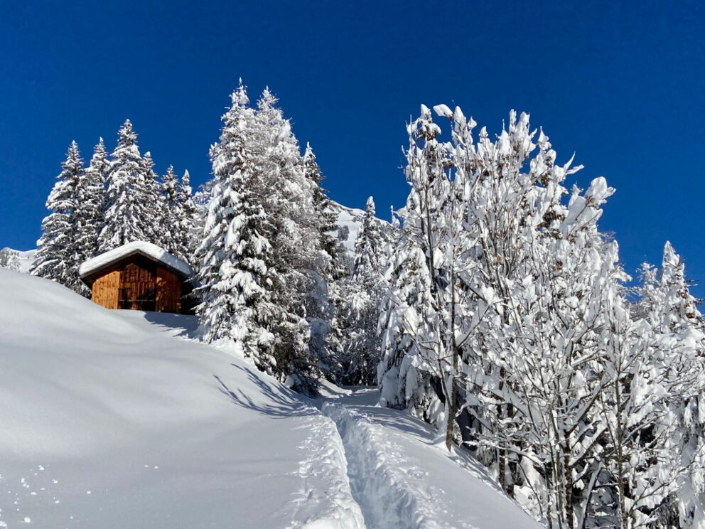 Wandern im Tiefschnee nach Schneereicher Nacht in Holzgau.