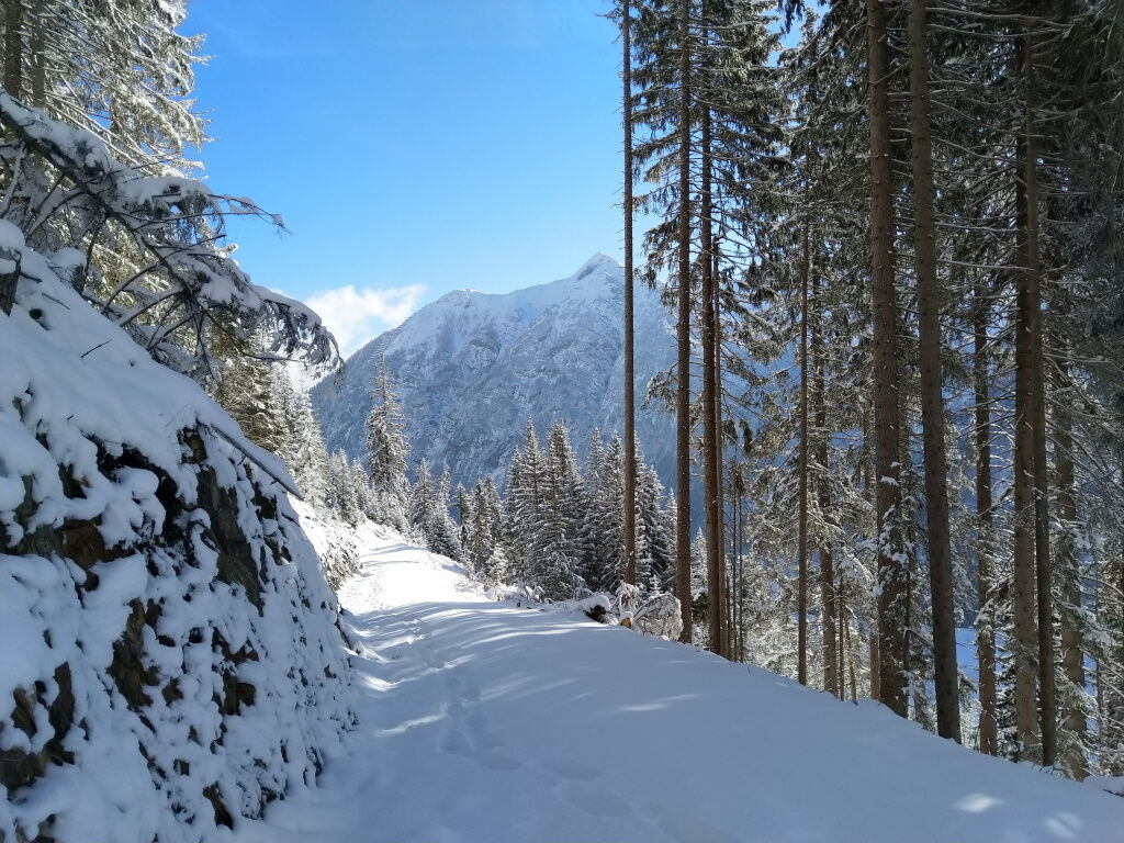 Wandern im Winter ab der Unterkunft Dorfstube mit Schneeschuhen oder Grödl.