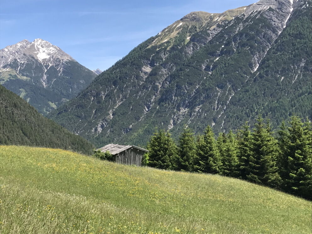 Kräuterwiesen entlang dem Vital-Weg in Holzgau.