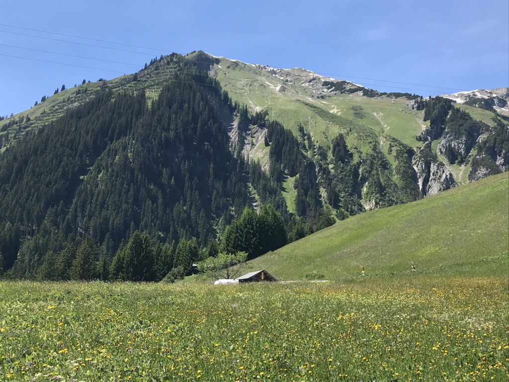 Wandern entlang der Flora und Fauna im Lechtal im Frühsommer.