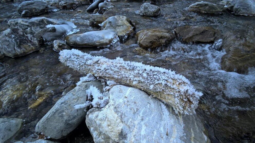 Das Holz ist befallen vom Raureif durch die Feuchtigkeit des Wassers und des kühlen windes.