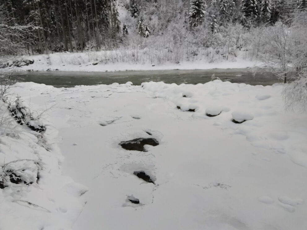 Winterwandern im Lechtal mit der Alternativwanderroute Höhenbach in Holzgau.
