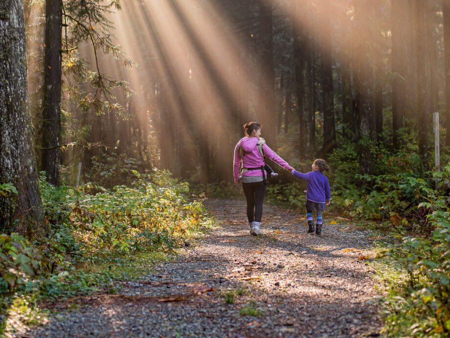 Zielwandern durch den Wald, entlang den Forstwegen im Lechtal mit dem Kind.