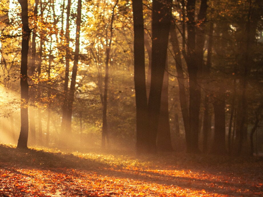 Herbsttage nutzen und im Lechtal wandern.
