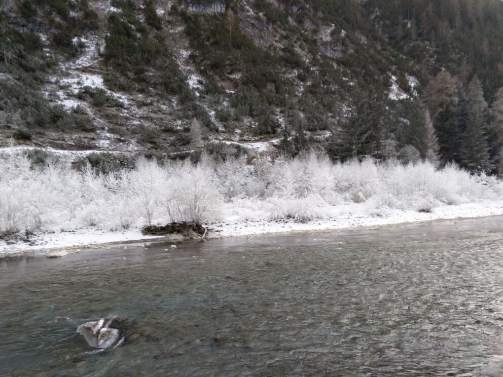 Lechwegschleife Wild und frei