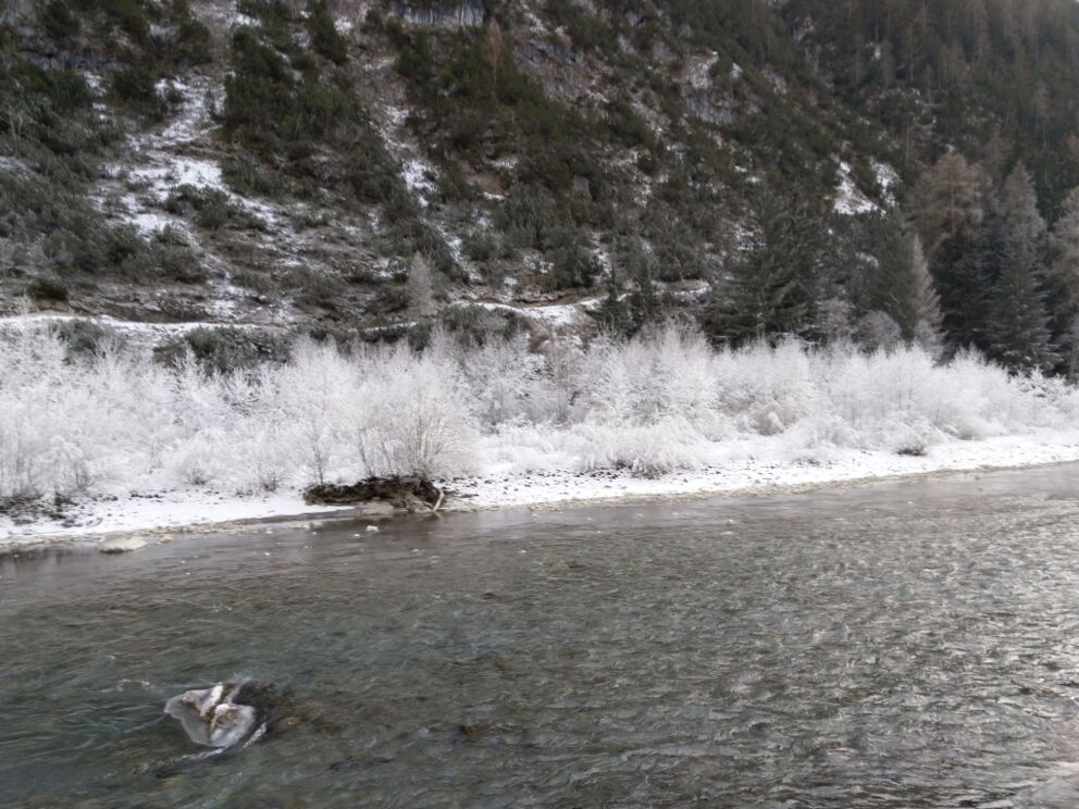 Lechwegschleife Wild und frei