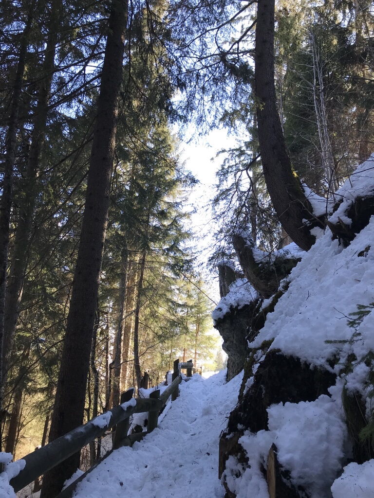 Licht und Schattenwechsel machen eine Winter-Wanderung ausgeglichen.