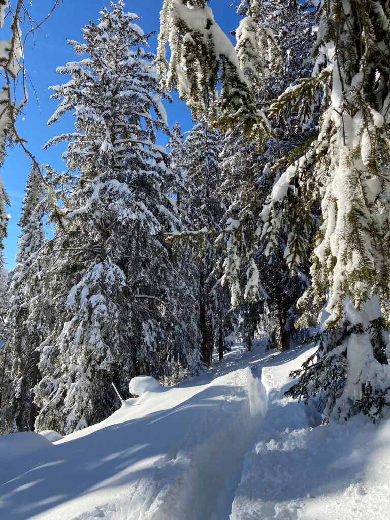 Wandern im Winter ab der Dorfstube im Tiefschnee.