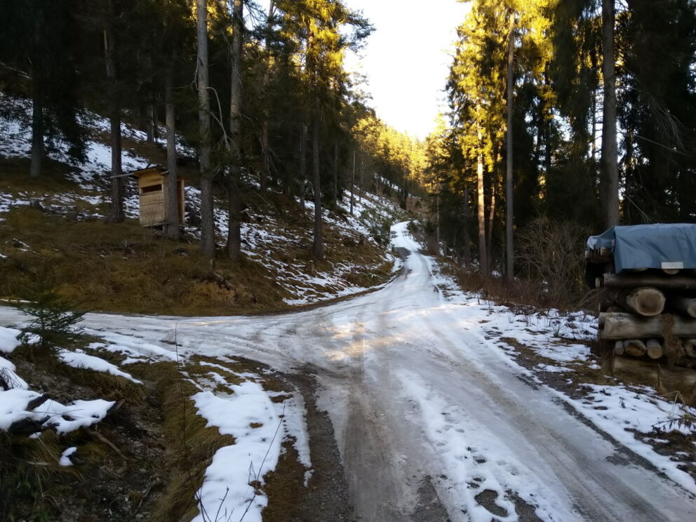Der Rückweg vom Baichlstein Richtung Stanzach, oder Vorderhornbach.