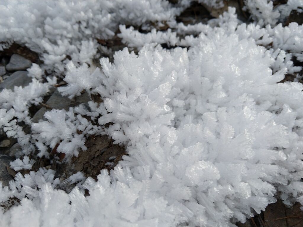 Raureifüberwucherung in den schattigen Plätzen des Lechtales im Vorwinter.