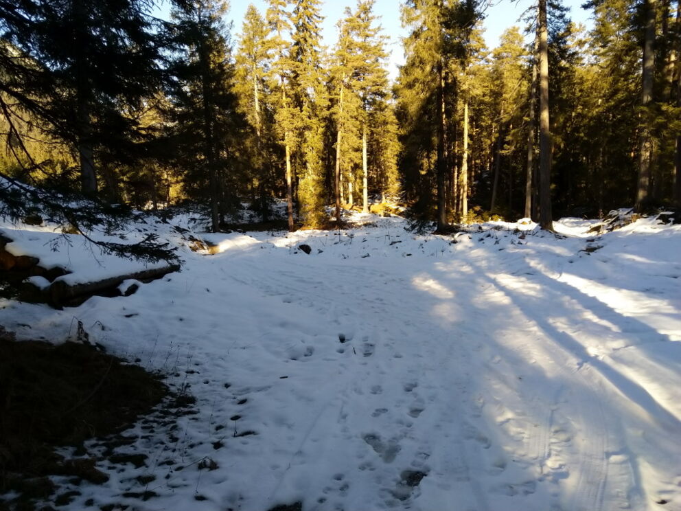 Wanderkreuzung kommend von Vorderhornbach, rechts nach Stanzach und links geht's zum Baichlstein.