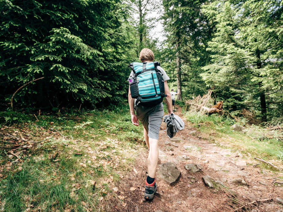Wandern im Wald und den Geräuschen der Natur lauschen.