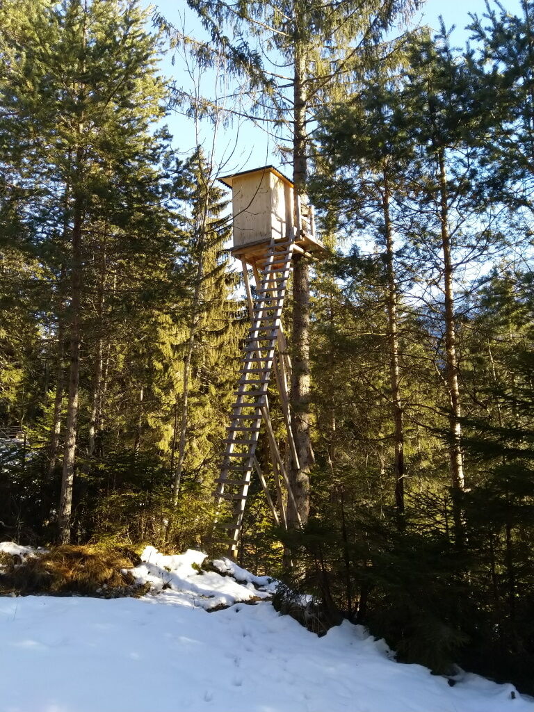 Auf der Strecke zum Baichlstein passieren Sie ein paar Wildtierbeobachtungsplätze.