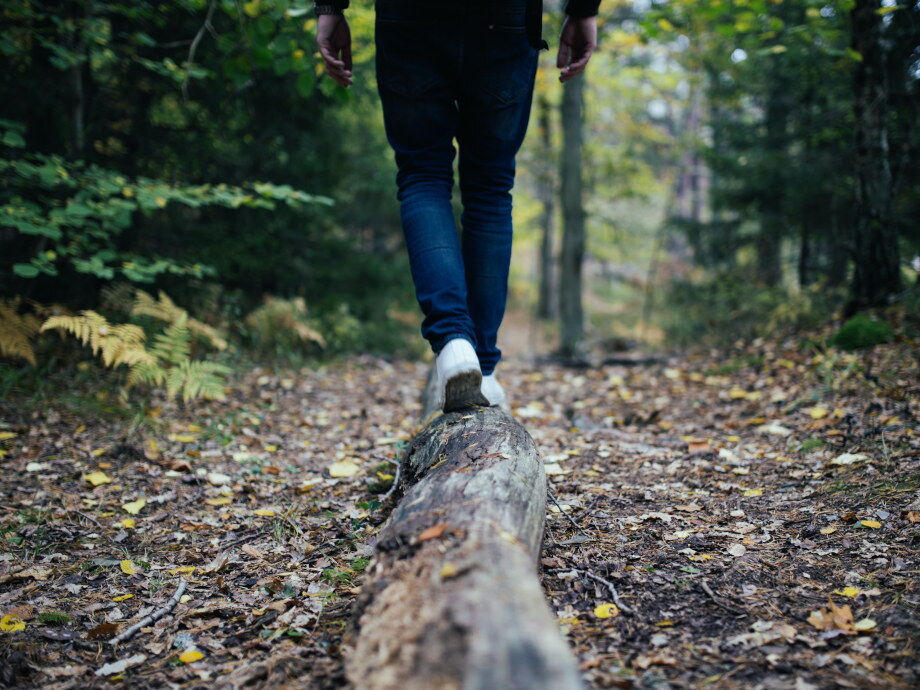 Waldspaziergang und balance tranieren.