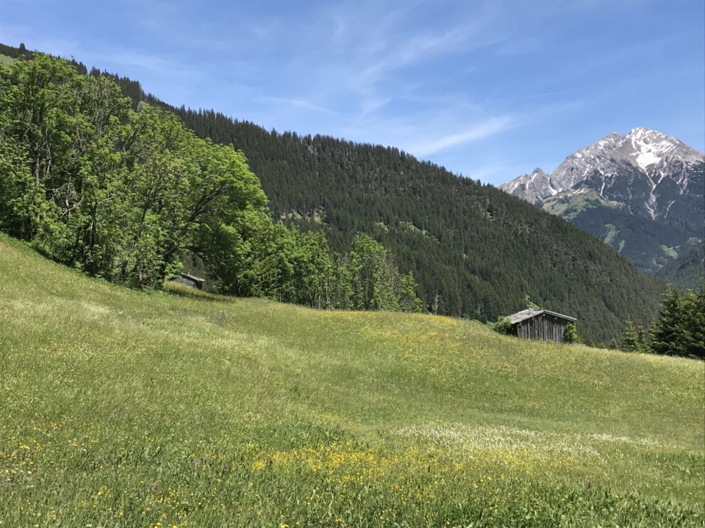Vitalrundenabschnitt "Schigge" mit den Kräuterwiesen im Lechtal.