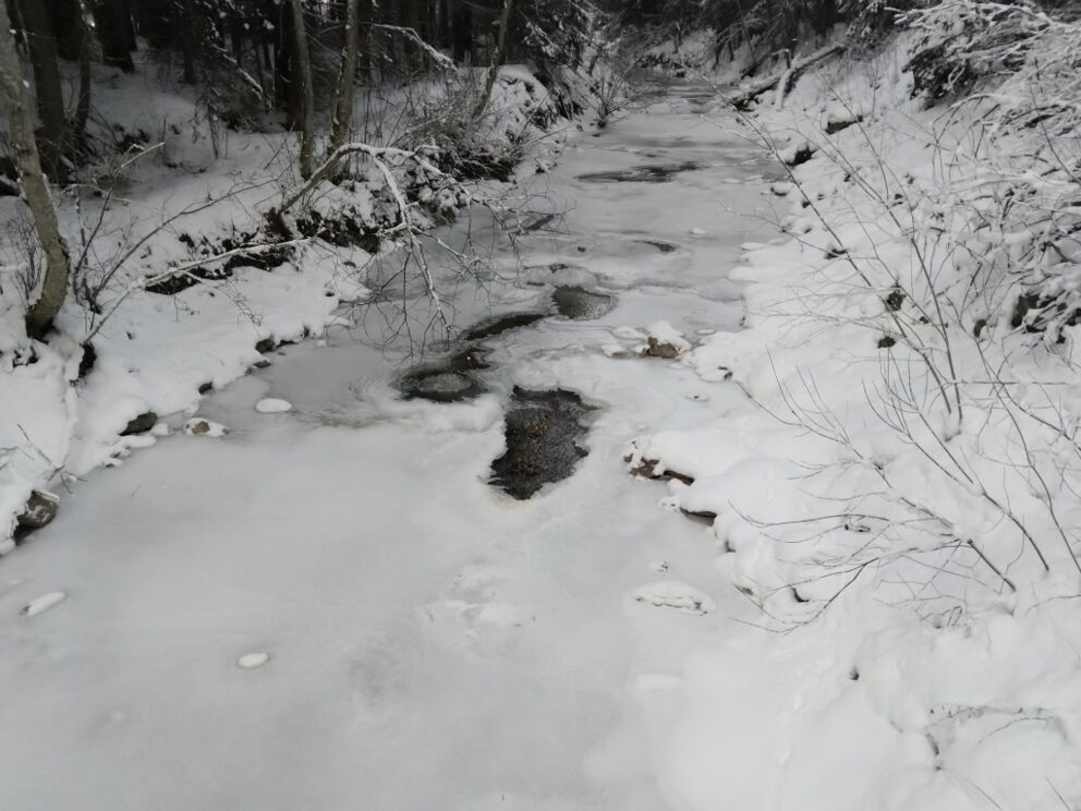 Winterwandervorschlag im Lechtal ist für Einsteiger immer der Höhenbach in Holzgau. Tourenvorschlag der Dorfstube.