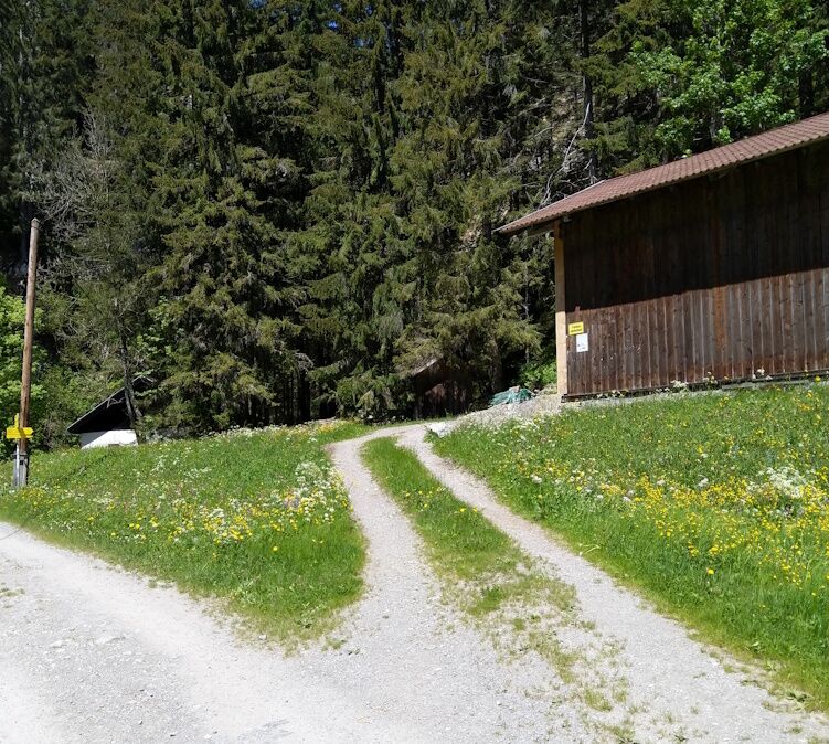 Wanderkombination zur Fußgängerhängebrücke in Holzgau über den Mühlwaldweg.