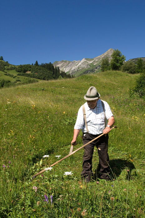 Mähen der Bergwiesen im Sommer.