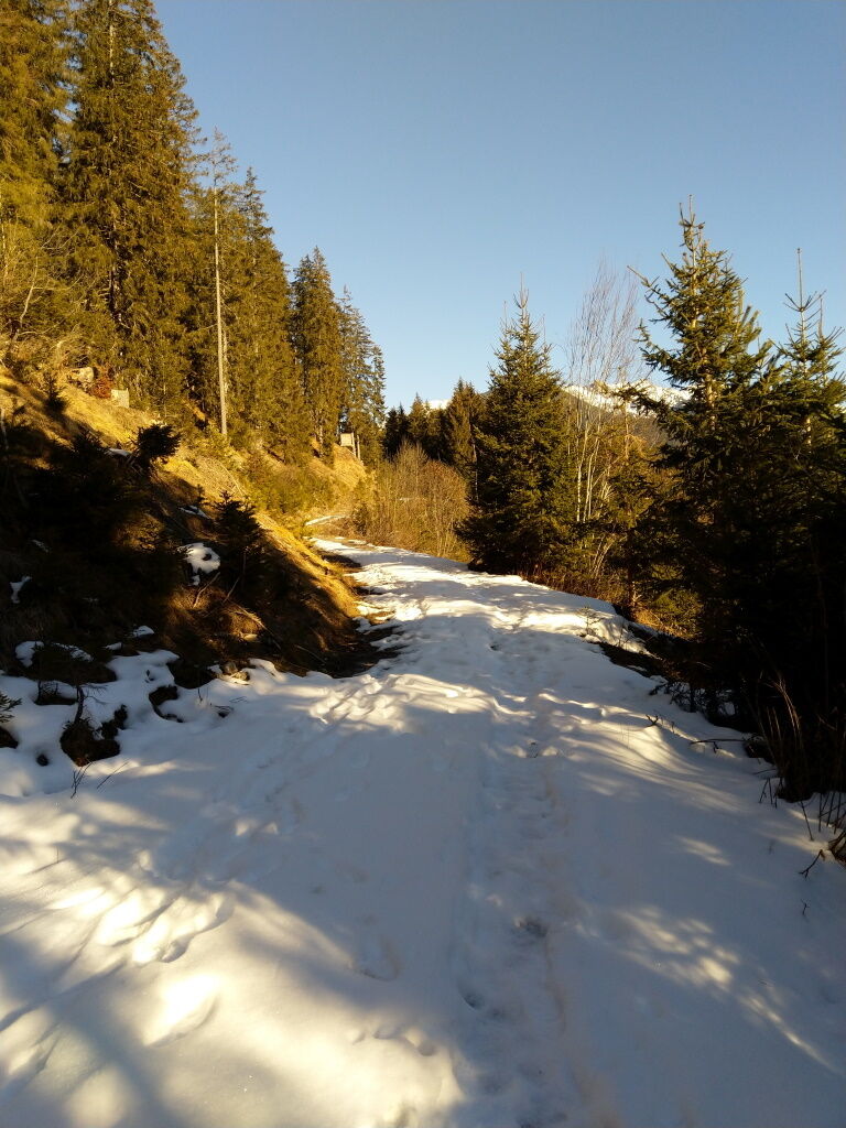 Stapfen durch den vorwinterlichen Schnee auf der Baichlsteinrunde.