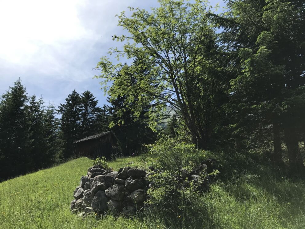 Wandern im Lechtal vorbei an alten Heupill-Fundamenten.