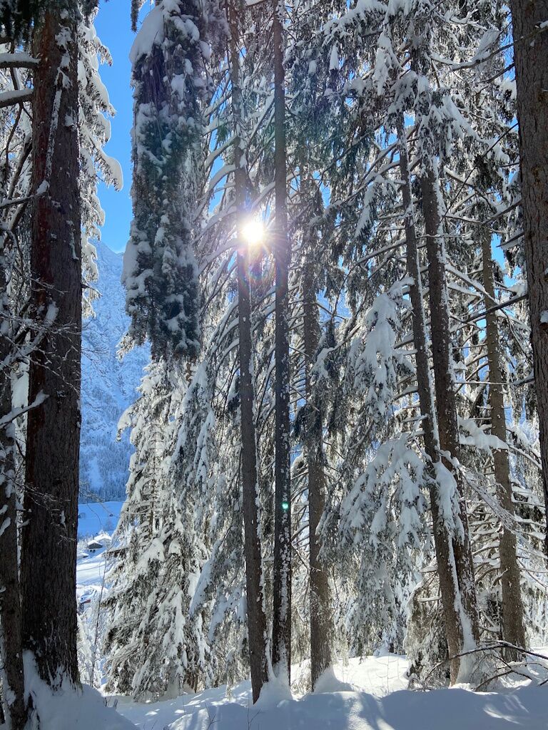 Wandern im Winter mit Schneeschuhen durch den Wald.